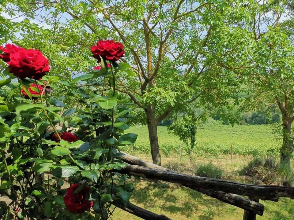 Cascina Valtignosa Camere Con Vigna Cassine ภายนอก รูปภาพ