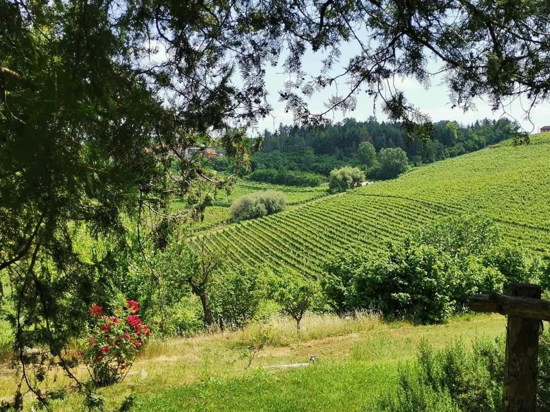 Cascina Valtignosa Camere Con Vigna Cassine ภายนอก รูปภาพ