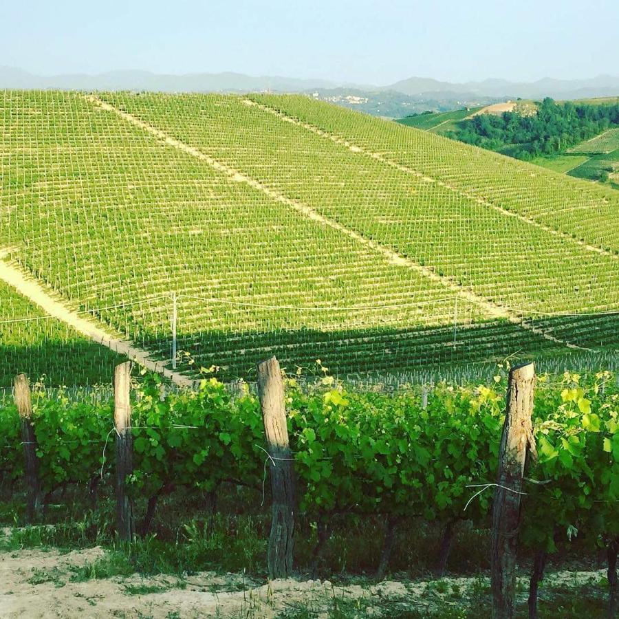 Cascina Valtignosa Camere Con Vigna Cassine ภายนอก รูปภาพ