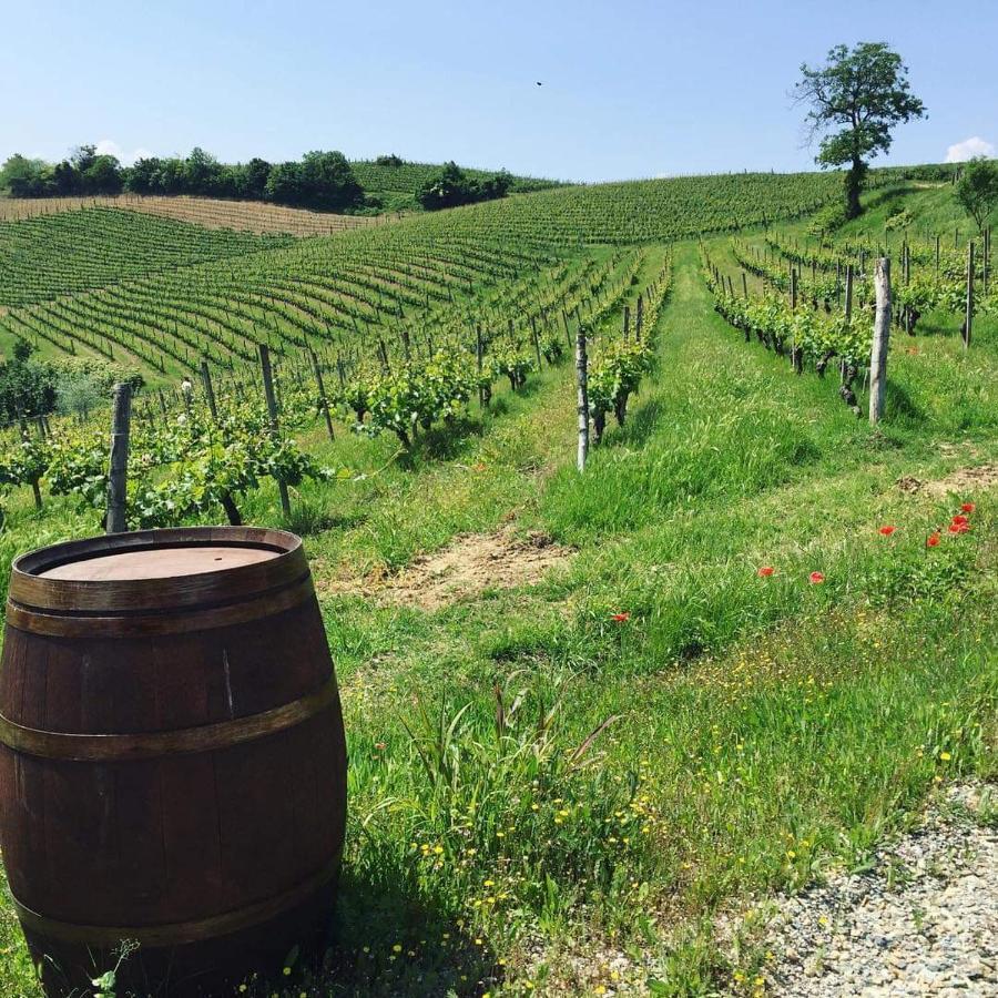 Cascina Valtignosa Camere Con Vigna Cassine ภายนอก รูปภาพ