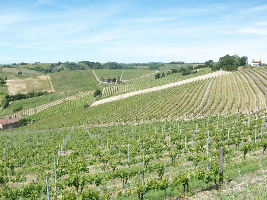 Cascina Valtignosa Camere Con Vigna Cassine ภายนอก รูปภาพ