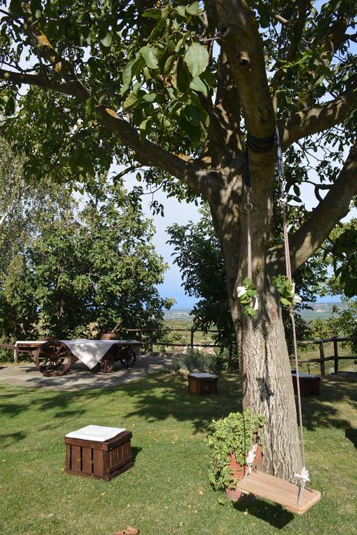 Cascina Valtignosa Camere Con Vigna Cassine ภายนอก รูปภาพ