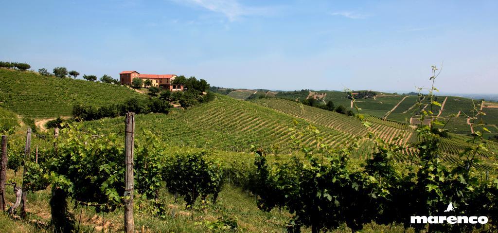 Cascina Valtignosa Camere Con Vigna Cassine ภายนอก รูปภาพ