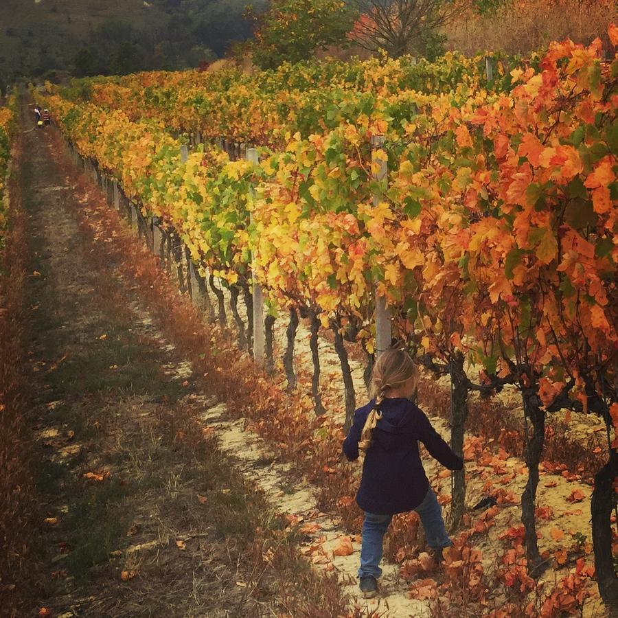 Cascina Valtignosa Camere Con Vigna Cassine ภายนอก รูปภาพ
