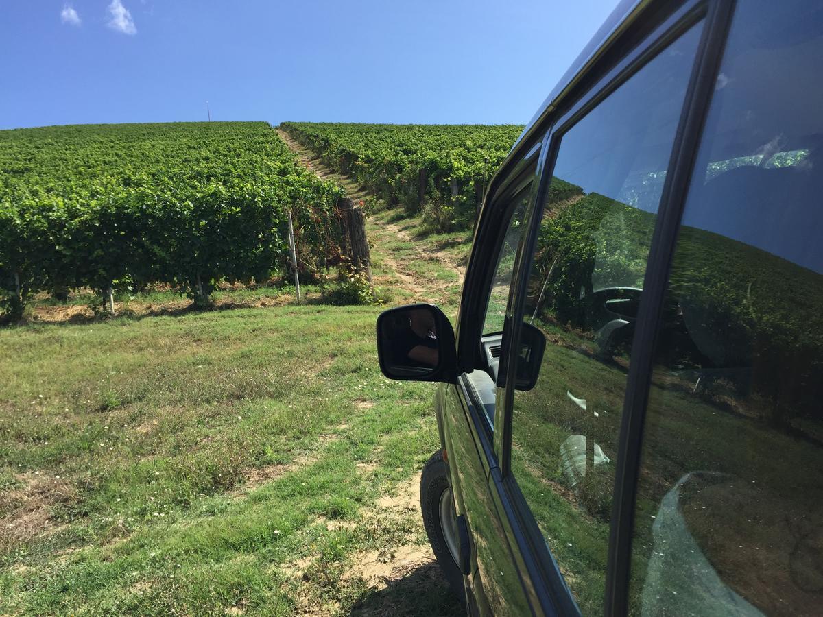 Cascina Valtignosa Camere Con Vigna Cassine ภายนอก รูปภาพ